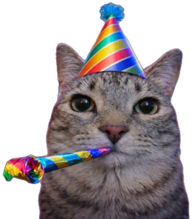 Birthday cat